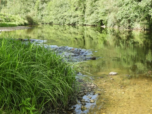Rivière camping prade