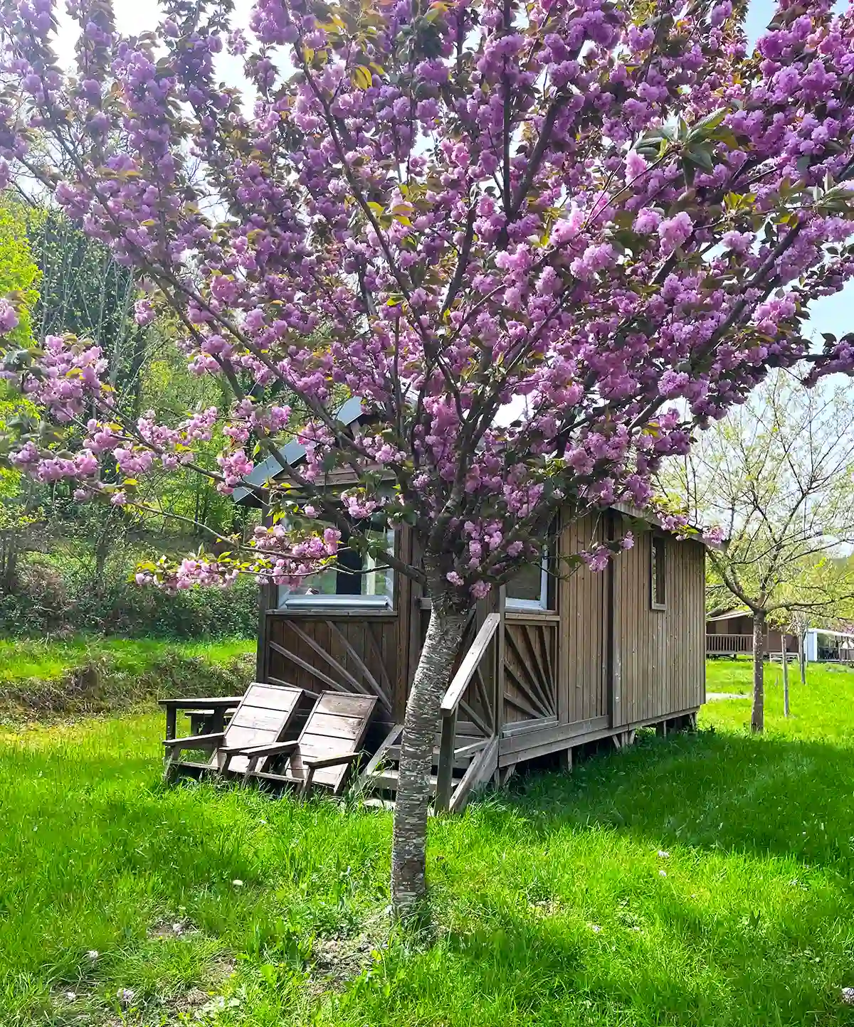 camping Tarn caravan ongebruikelijke accommodatie