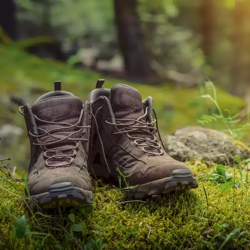 le tarn hiking